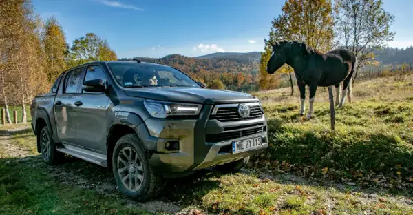 Toyota Hilux GR Sport na tle jesiennych wzgórz, obok stoi koń.